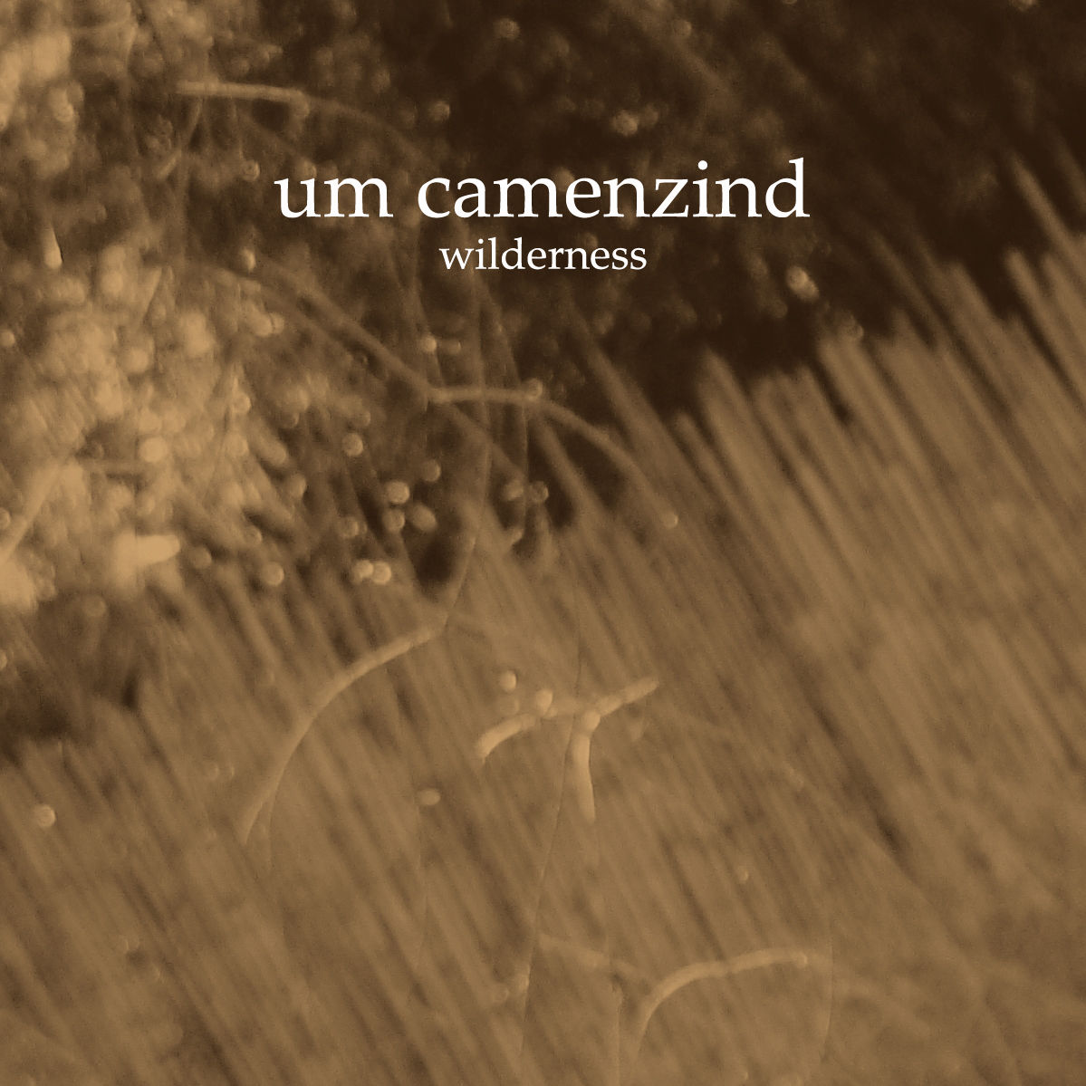 Um Camenzind - Wilderness (2014)