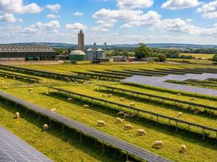 The Warm Homes Plan Is Bringing Solar to Rural Communities. Agrivoltaics on Adjacent Farmland Is the Layer That Completes the Picture.