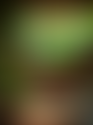 seeing through the stories we learned to tell