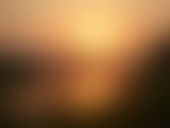 What is an intention when starting Plant Medicine Work and how do I know what mine is?