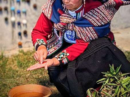 Rediscovering Wholeness: Traditional Plant Medicine and the Healing Intelligence of Nature