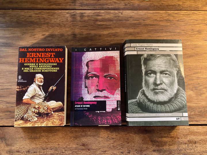 essays on Ernest Hemingway .jpeg