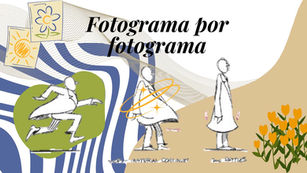 Fotograma por fotograma