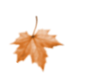 Untitled copy 28-1.png