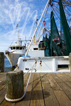 Boats At Ramp_Marked