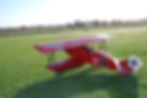 Udet Fokker DVII