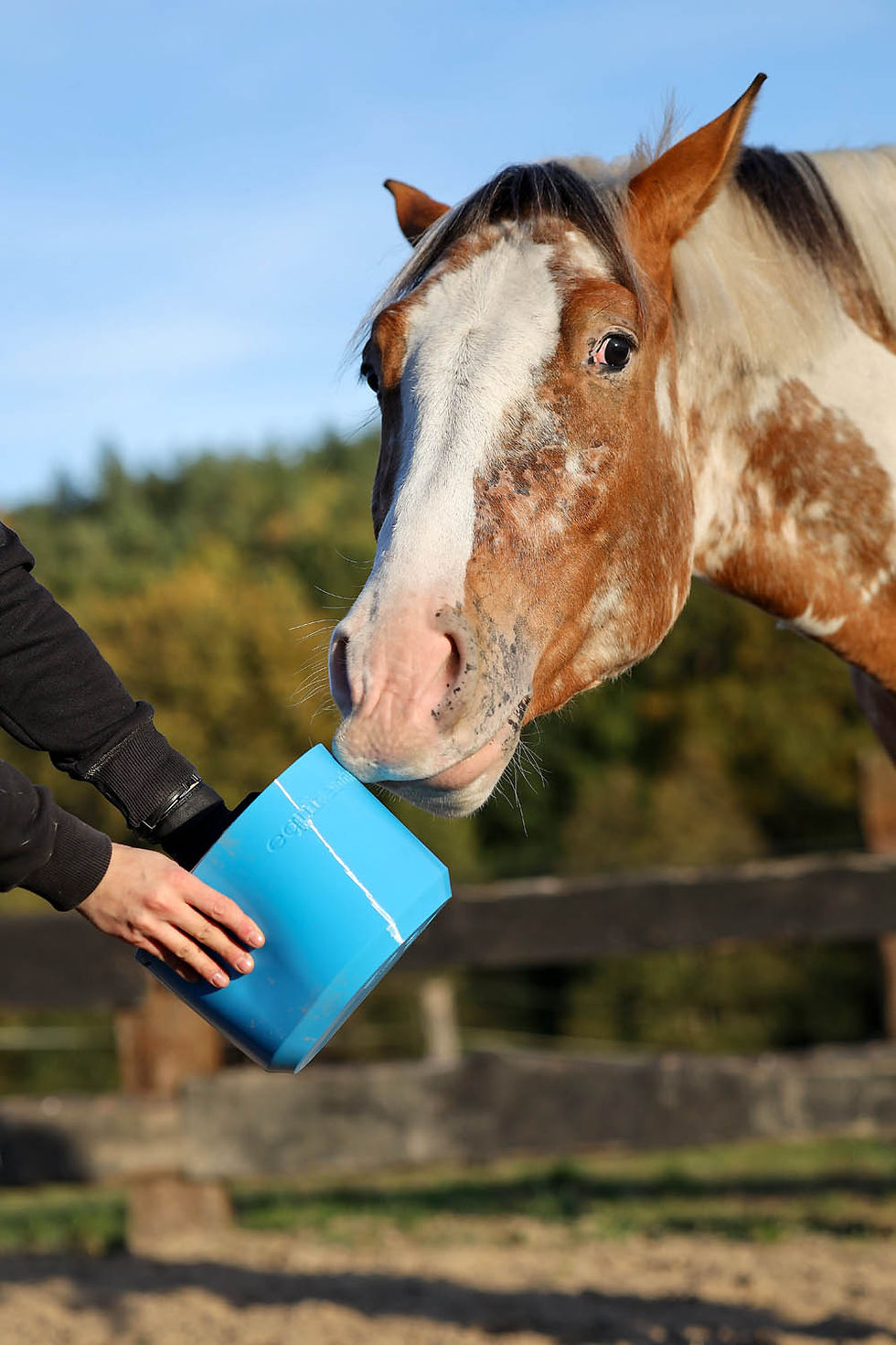 Miniatura: maska elastic lato