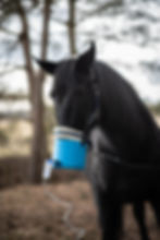 Miniatura: Maska do inhalacji dla konia ELASTIC EQUINEINHALER Glacial Blue