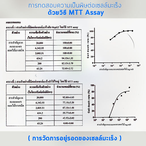 งานวิจัย.jpg