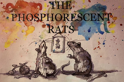 TPR Poster - pic insert.jpg