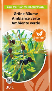 Grüne Räume Ökohum