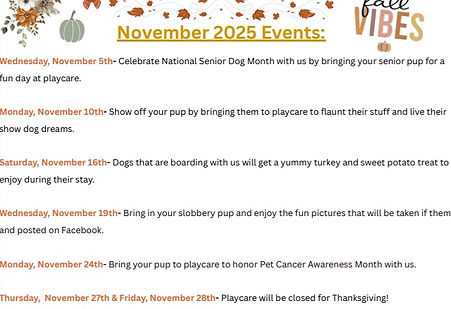 November playcare calendar 2.jpg
