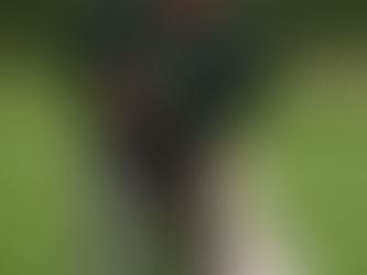 Positive Reinforcement Training: Teach your dog without losing your sanity.