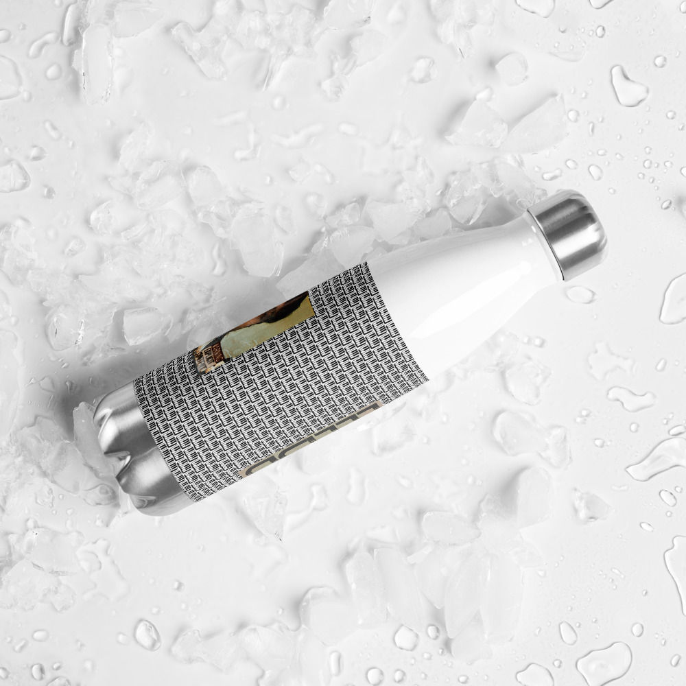 Stainless Steel Water Bottle