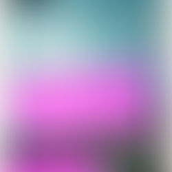 My next novel is going to be Bootylicious