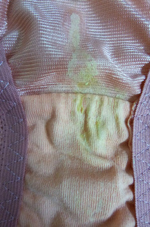 サムネイル： れおなちゃん（新人）のオナニー動画DVD付き２日穿き生パンツ（生写真付き）３
