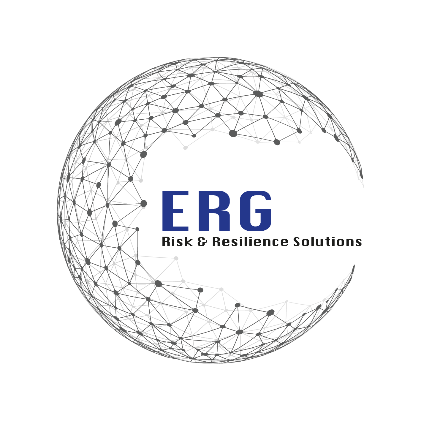 Emerging Risks Global (ERG) | international resilience frameworks
