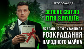 Зелене світло для злодіїв. Як влада "слуг" узаконила розкрадання народного майна та що з цим тепер робити.