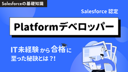 【10日間】Salesforce認定Platformデベロッパー 資格にIT未経験から合格できた理由