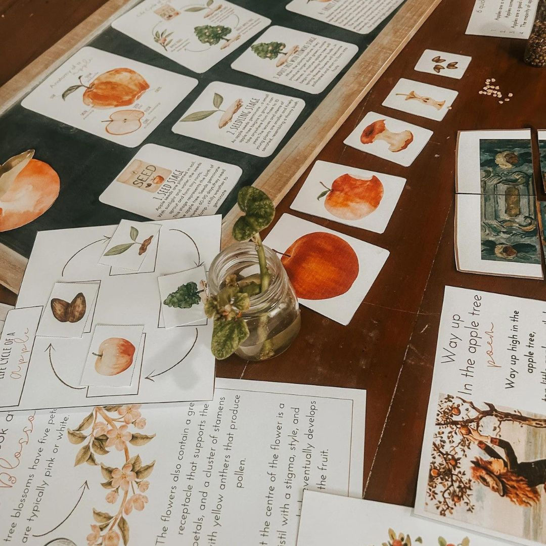 Apple nature study, charlotte mason homeschool units