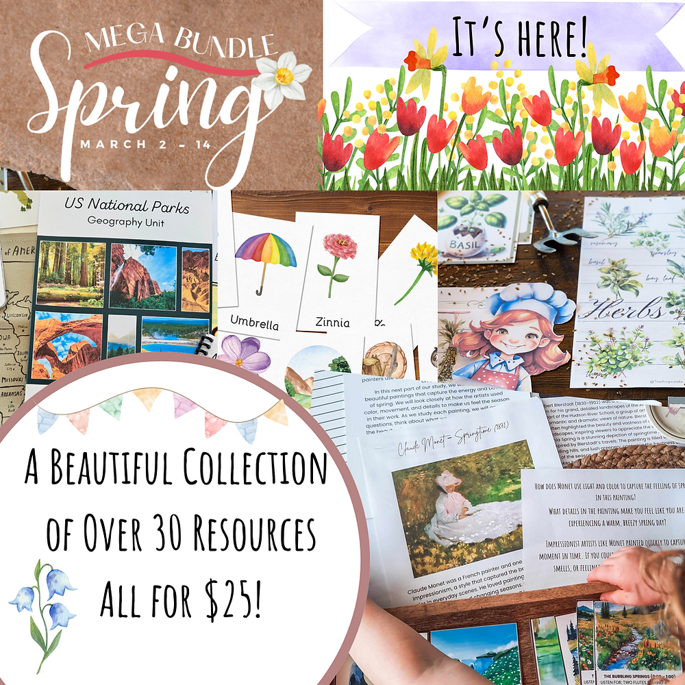 What is a Homeschool Mega Bundle?