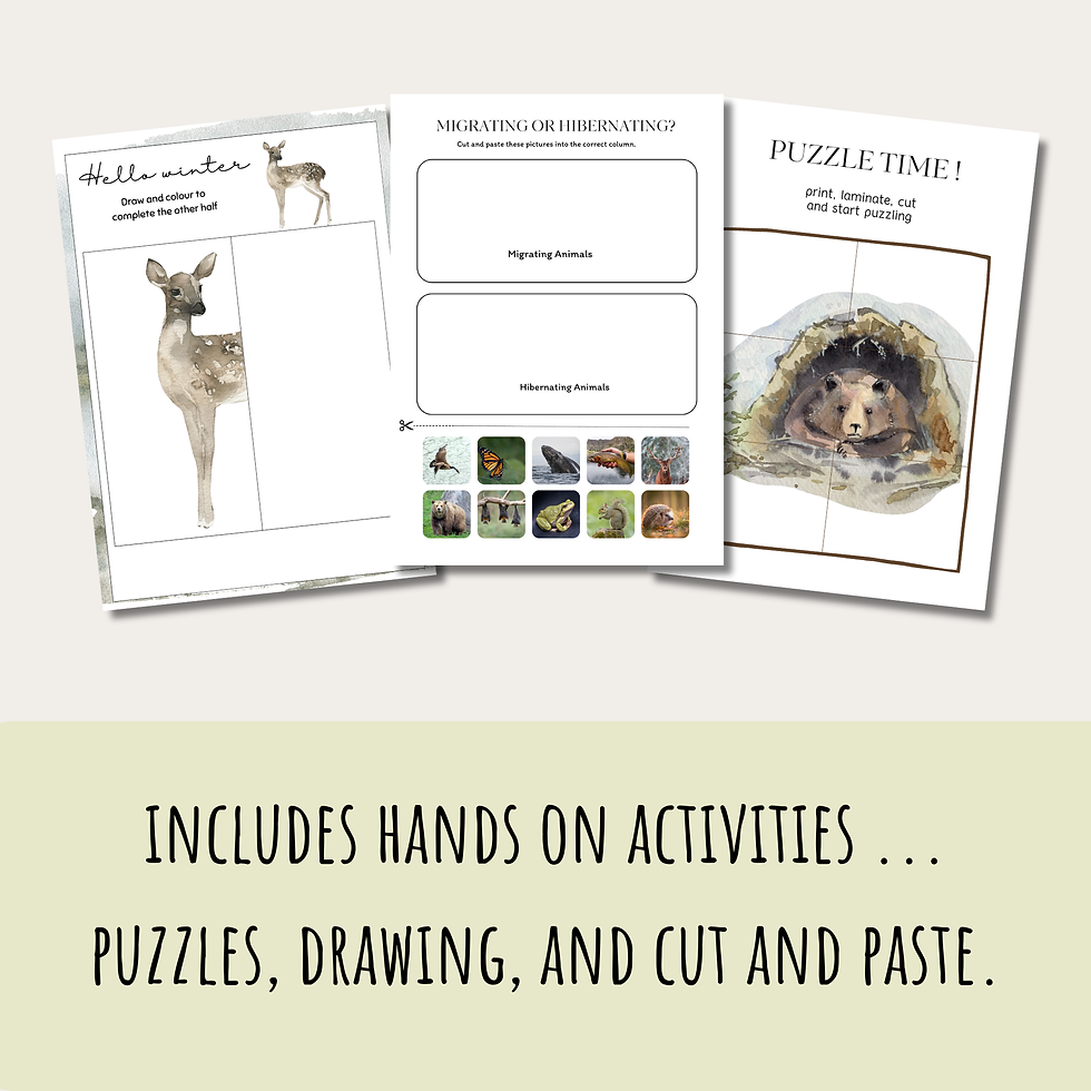 Thumbnail: Winter Nature Reflection Journal