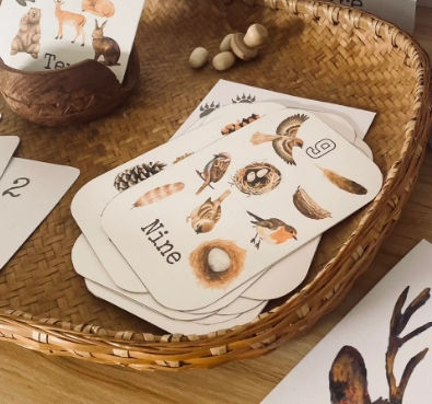 Thumbnail: Nature Inspired Number Flashcards 1-10