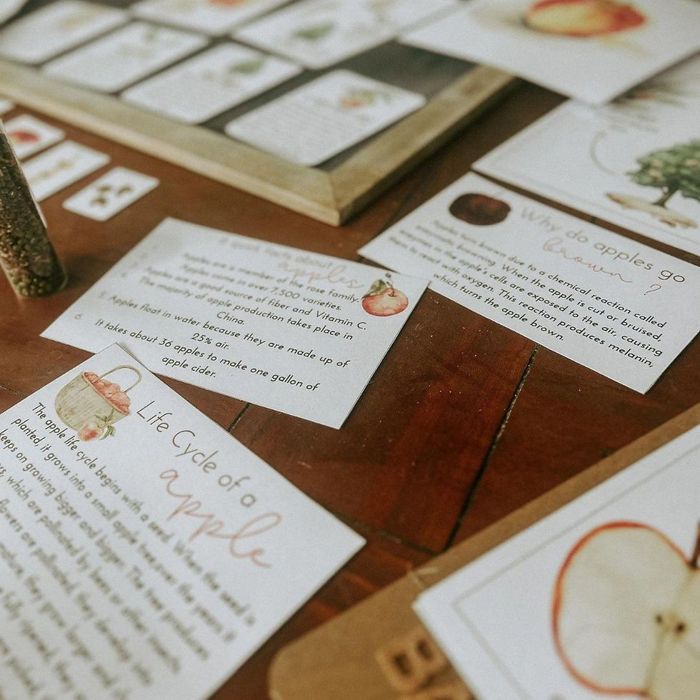 Thumbnail: Apple nature study, charlotte mason homeschool units