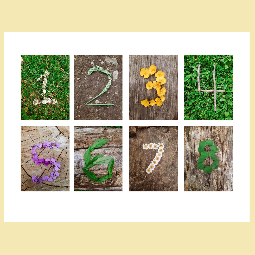 Thumbnail: Nature Inspired Preschool Bundle, Reggio and Charlotte Mason Preschool