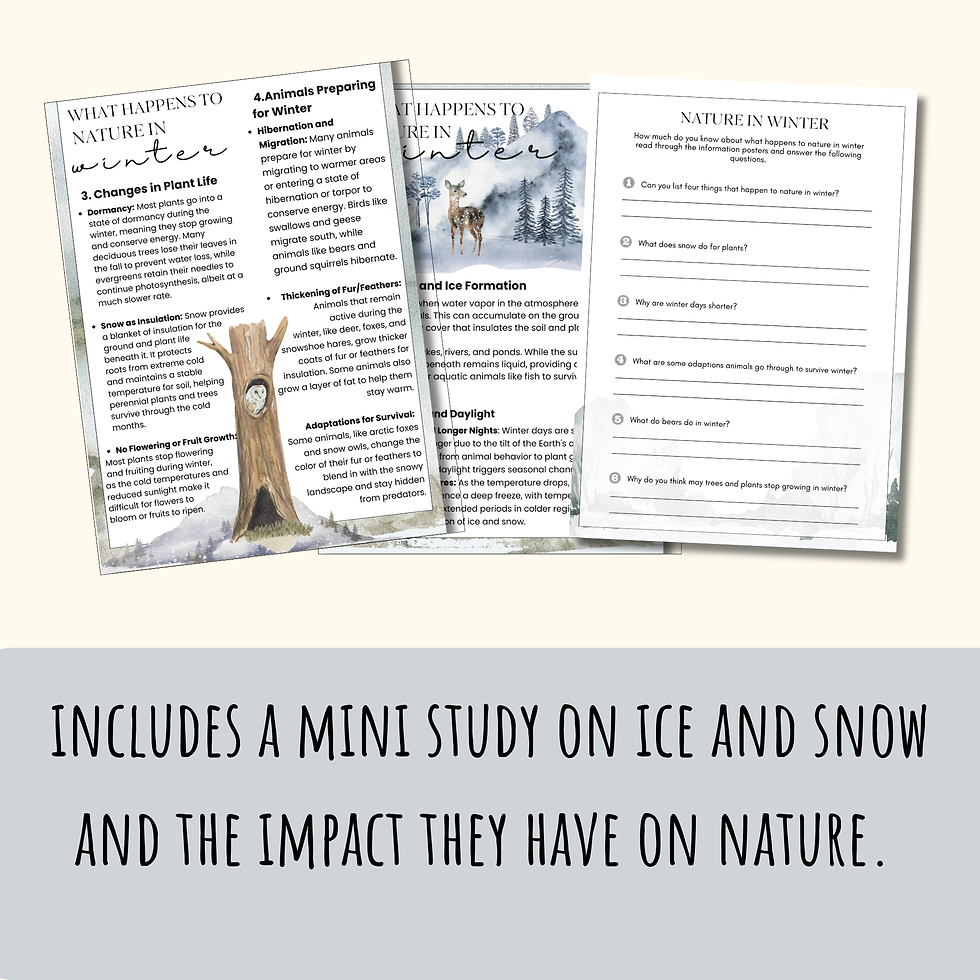 Thumbnail: Winter Nature Reflection Journal