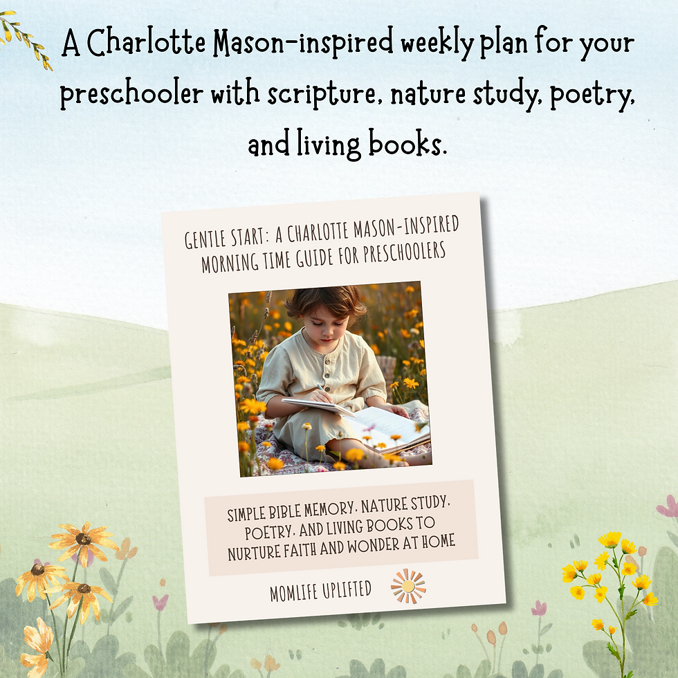 Thumbnail: Gentle Start Guides for Early Learning