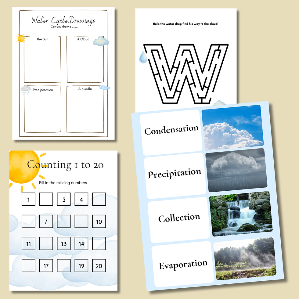 Thumbnail: Water Cycle Mini Unit Study