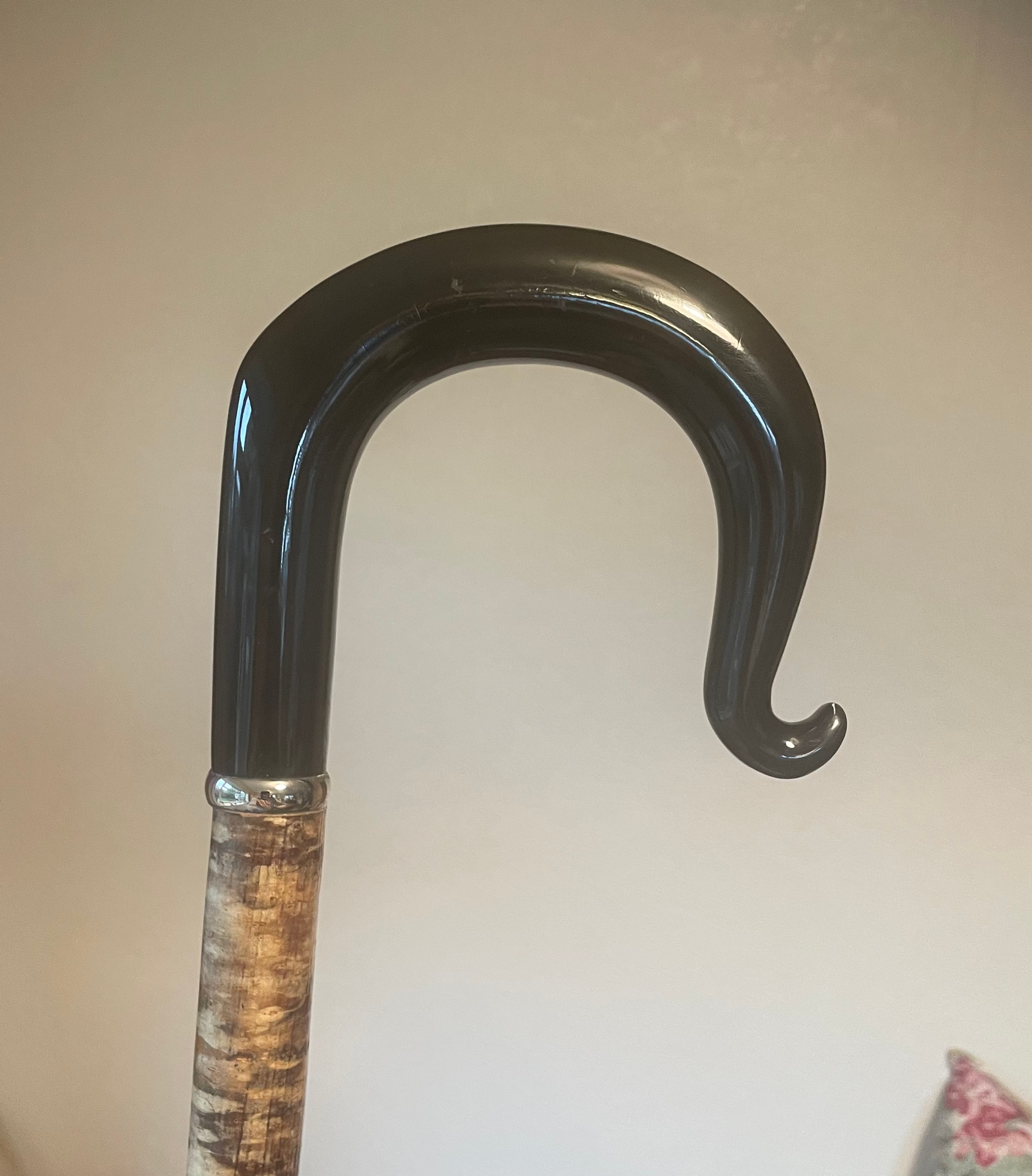 Buffalo Horn Crook Stick