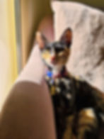 peppy_edited