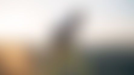 O Porto Seguro Bike veio para simplificar a vida dos ciclistas