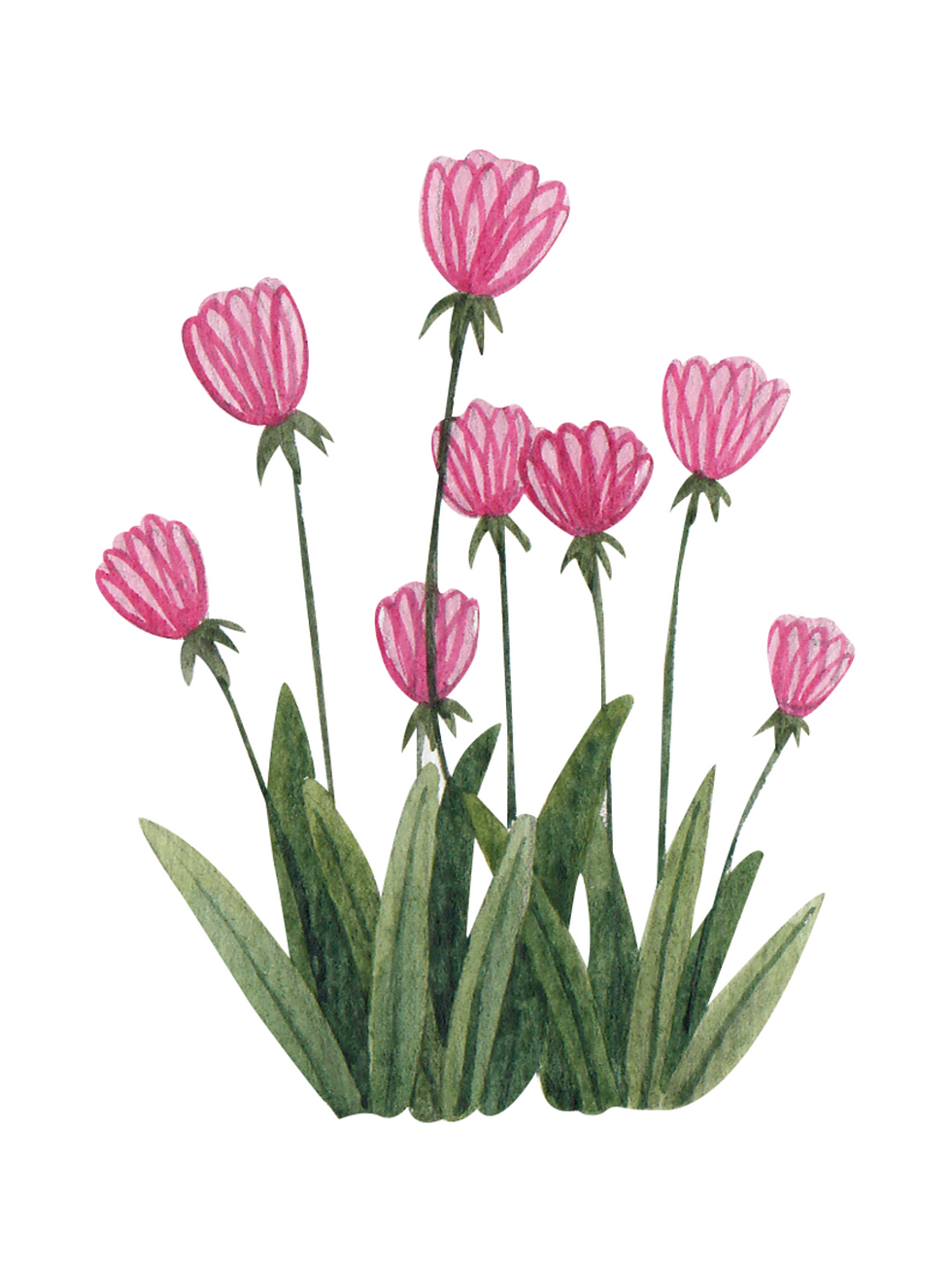 Thumbnail: Days of Creation 100 Cutouts PDF