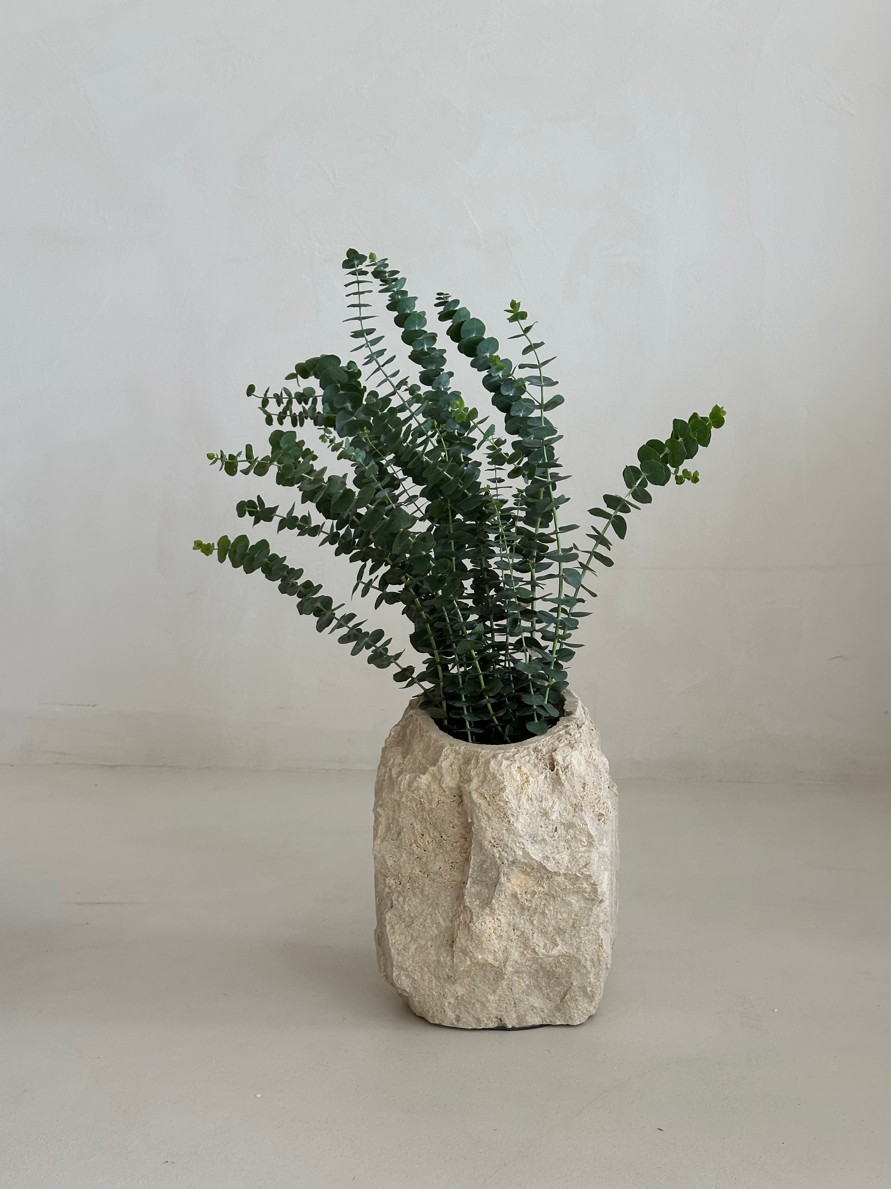 Rugged Travertine Vase