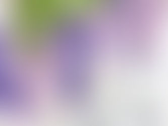 Celebrating Susan’s 25th Stampaversary