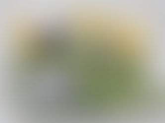 Bron's 60th Birthday Blog Hop