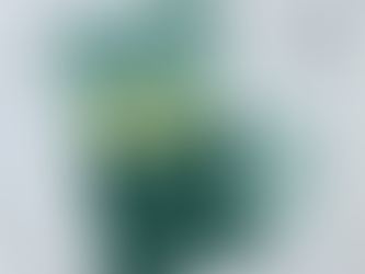 Spend it All in One Place