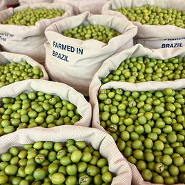 Green coffee beans in sacks with _Farmed in Brazil_ written on them.jpg