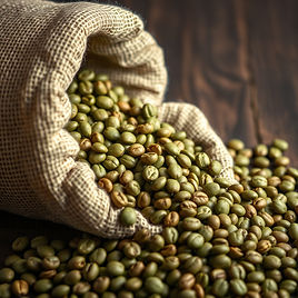 GREEN COFFEE BEANS FALLING OUT OF COFFEE SACK.jpg