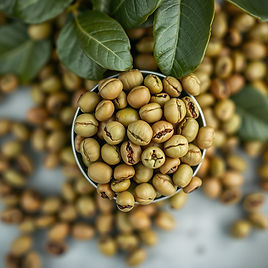green coffee beans.jpg