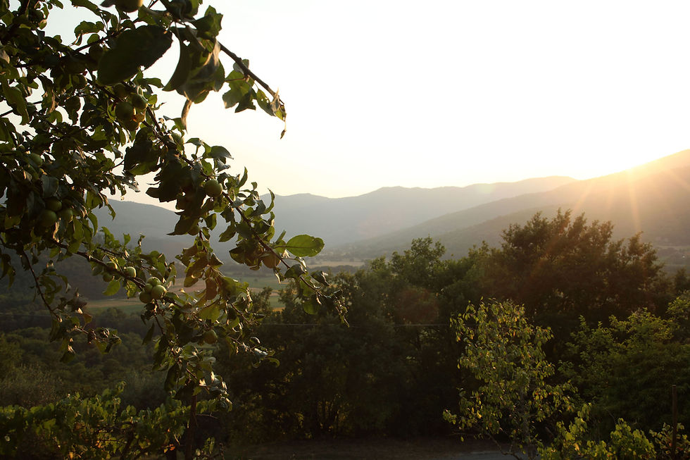 View of Mercatale Di Cortona