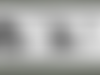 IMEC - Años en la Industria de los Seguros e Inversiones en Dolares - Mercado Internacional