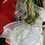 Thumbnail: Gin Shaman single skin Foil kite 12 m Kitesurfing, Snowkiting, Landkite