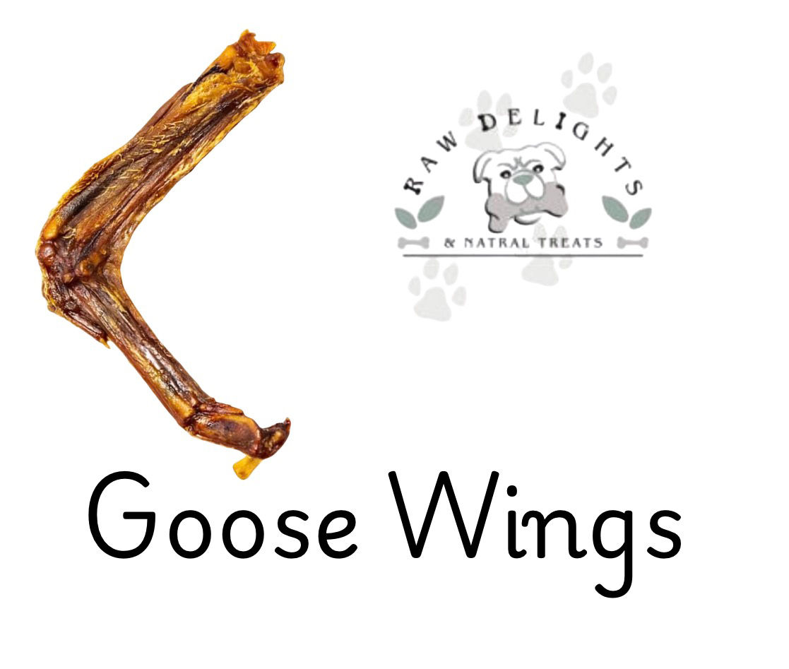 GOOSE WING