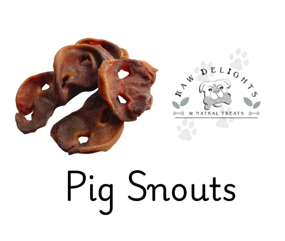 PIG SNOUTS
