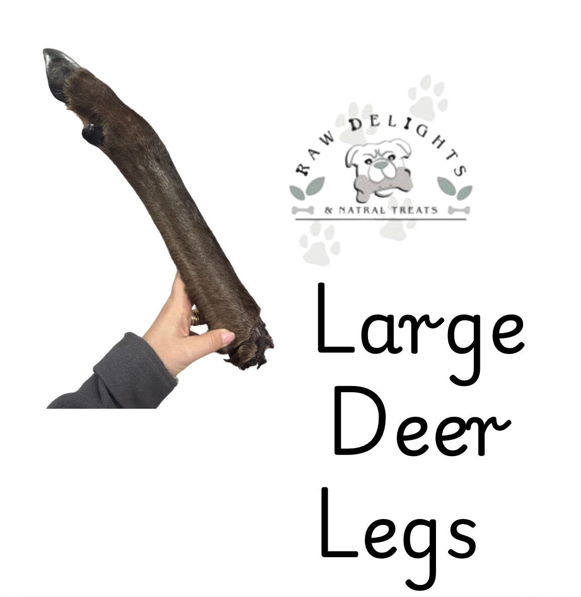 LARGE VENISON (DEER) LEG'S