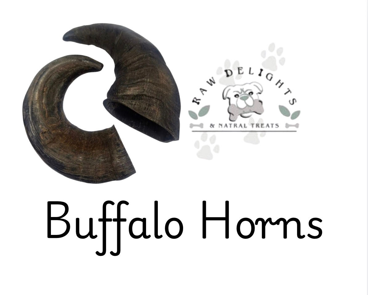 BUFFALO HORNS (LARGE)